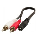 3.5F TO 2RCA M