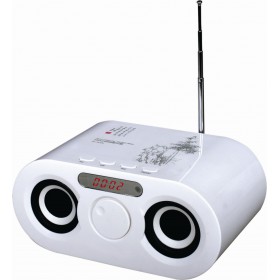 FM Radio / Speaker
