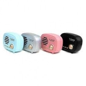 Retro Radio BT Speaker, Mini Portable Sound Box Support FM Radio