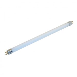 T4 6W White Globe